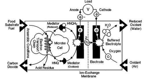 微生物燃料电池工作原理